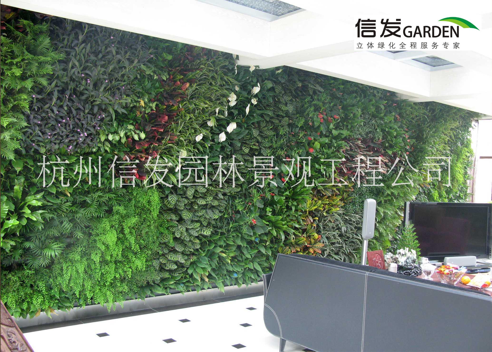 杭州垂直绿化 植物墙绿化批发