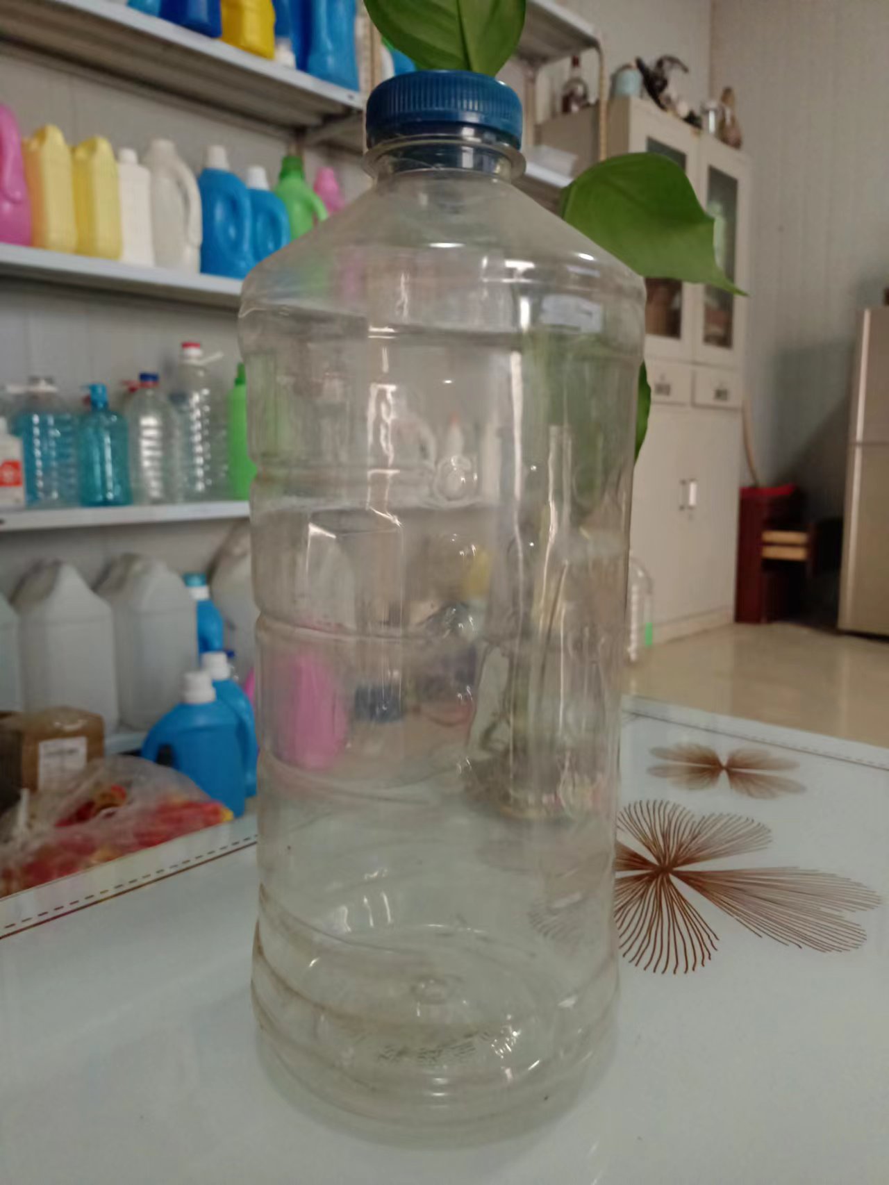 宜昌市1.5L玻璃水瓶价格批发