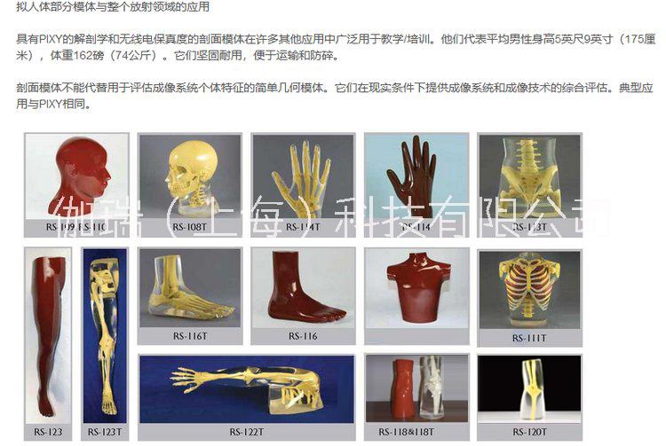 上海市完整腿部髋关节模体模型厂家美国RSD RS-123T完整腿部髋关节模体模型