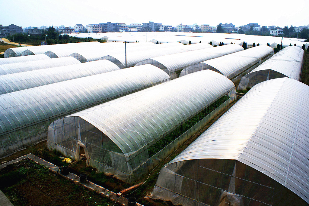 大棚钢管骨架温室定制养殖大棚全套蔬菜大棚农业大棚配件全套批发