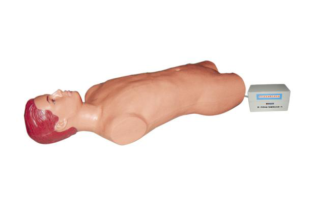 腹腔与股静脉穿刺电动模型批发