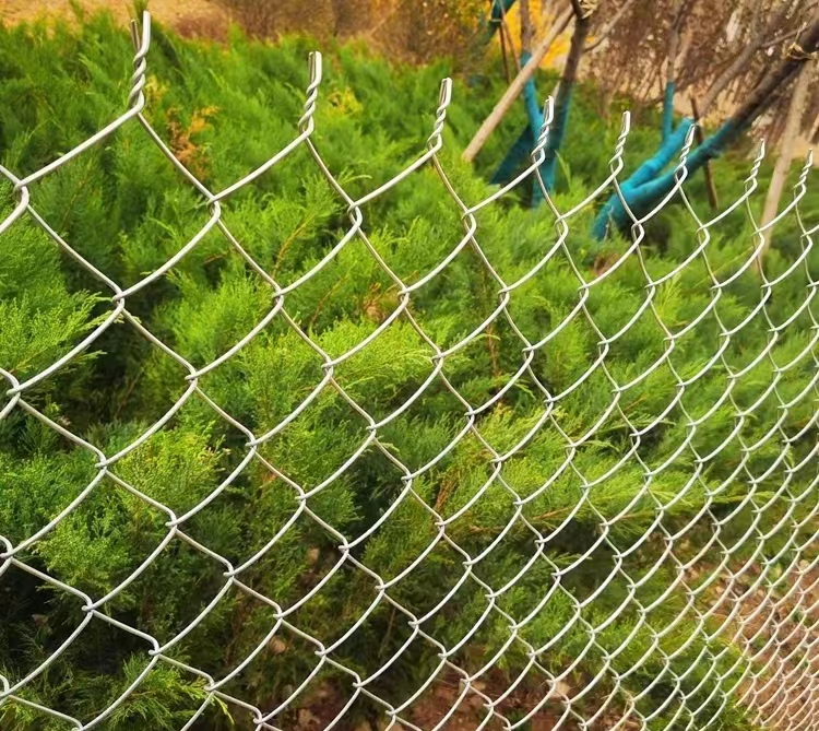 镀锌勾花网牛羊防护养殖网果园隔离护栏网图片