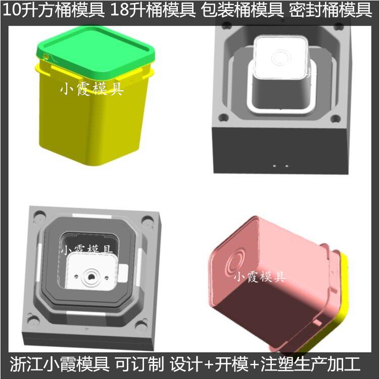 台州市涂料桶注塑模具厂家