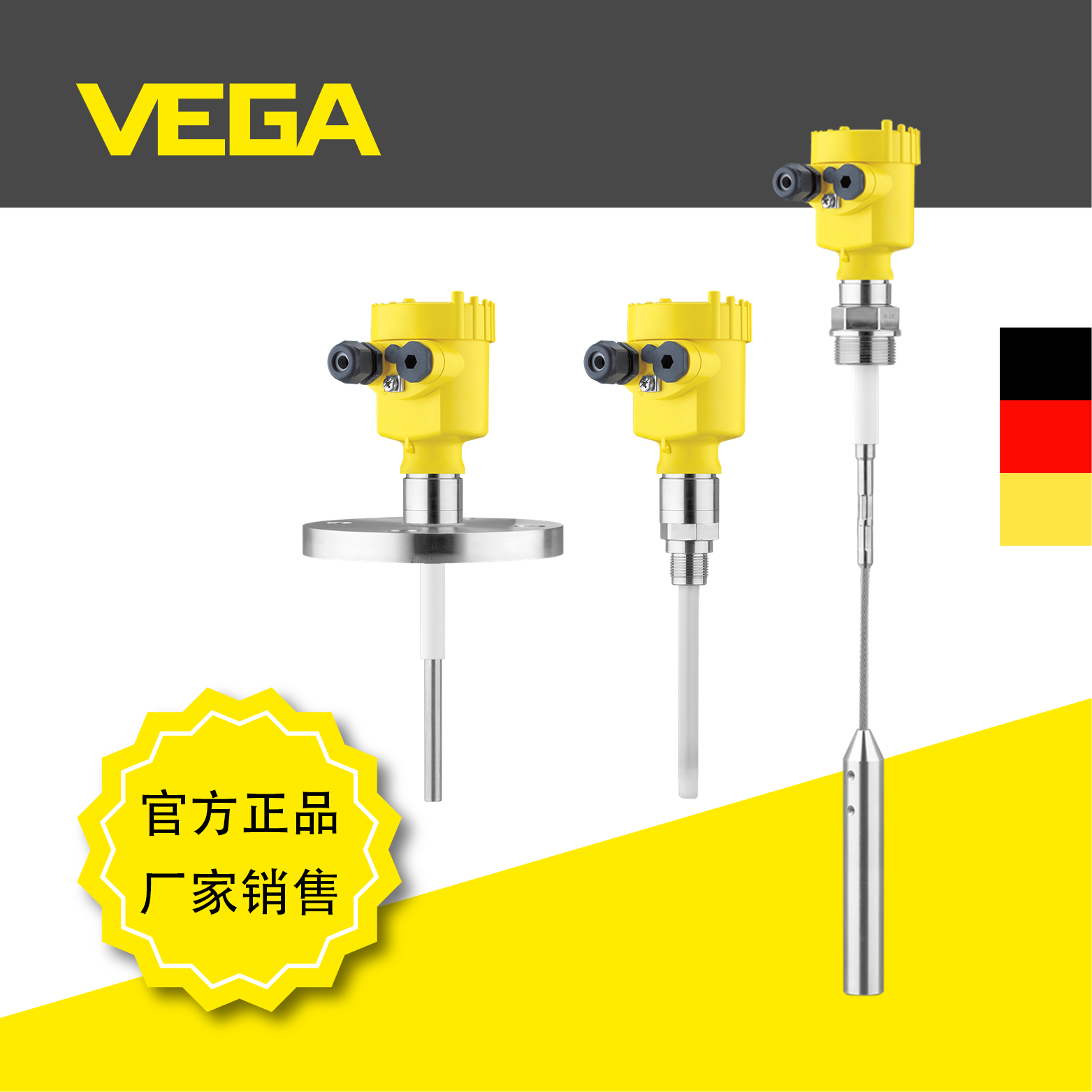 威格VEGACAL 62/63/65电容式物位计 德国进口 半绝缘 全绝缘 电缆式电容物位计 固料 液体测量图片