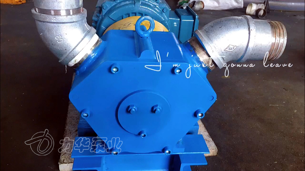 供应凸轮泵LH旋转活塞泵高自吸转子泵