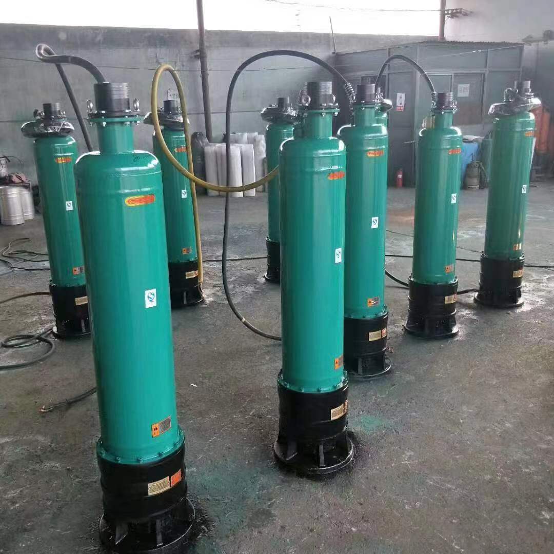 内装式高扬程污水泵生产厂家  下吸式潜水泵图片